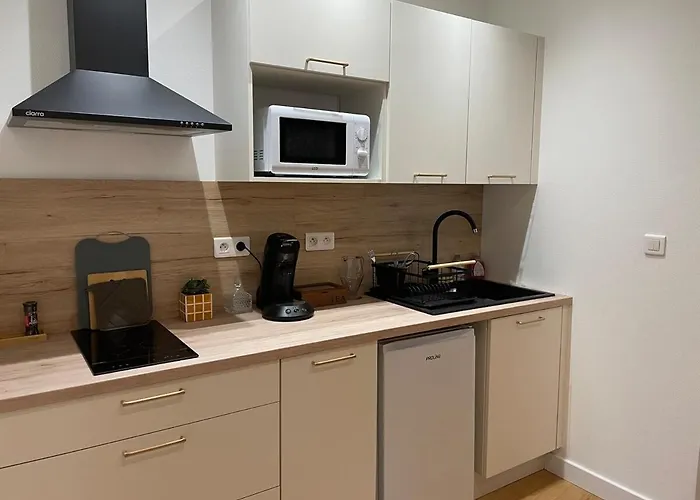 Stylish With Balcony - Very - Long And Pets Welcome * Carcassonne