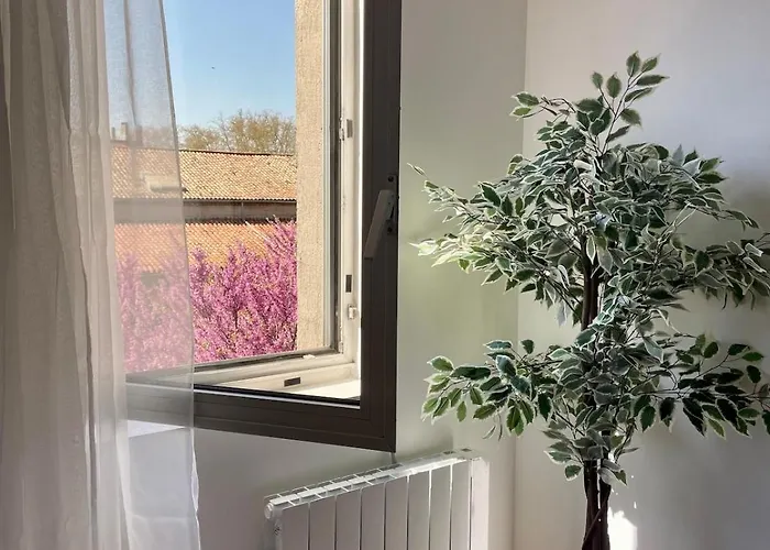 Stylish With Balcony - Very - Long And Pets Welcome *